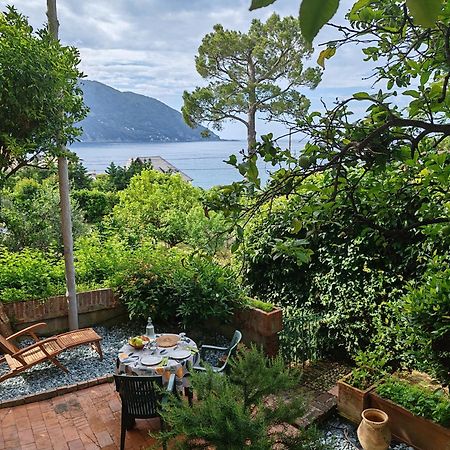 B&B La Taverna Di Mulinetti Recco Ngoại thất bức ảnh